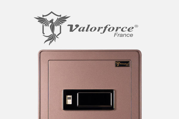 Valorforce.com